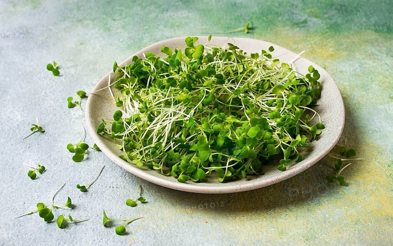 Fresh micro-greenery, on a plate, top view, no people
