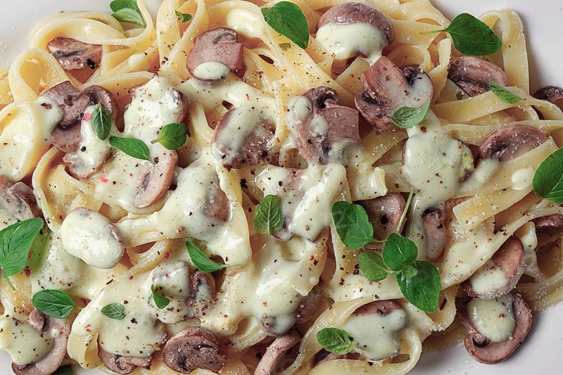 Fettuccine with champignons, basil, in cream sauce, homemade, no people