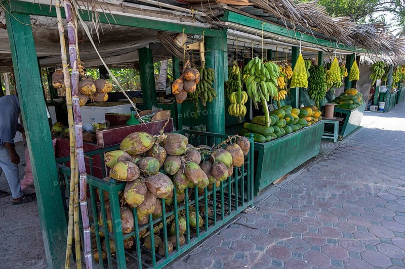 Fruit stand with bananas and coconuts, Oman