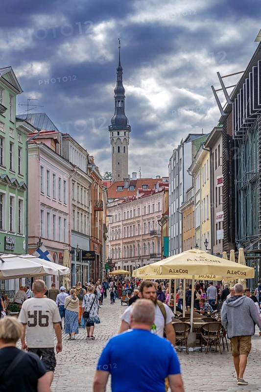 17th century belfry of the town hall and tourists in shopping street of the Old Town of the capital city Tallinn in summer, Harju County, Estonia