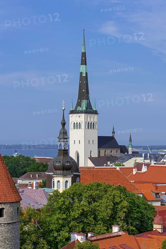 Spire of the Baptist St. Olaf's Church, Oleviste kirik in the Old Town of the city Tallinn in summer, Harju County, Estonia