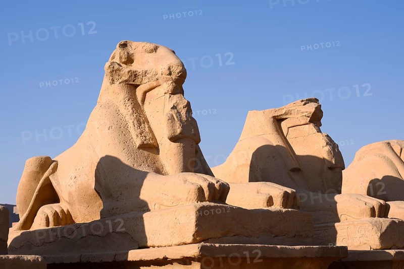 Sphinx Avenue, Karnak Temple, Luxor, Egypt