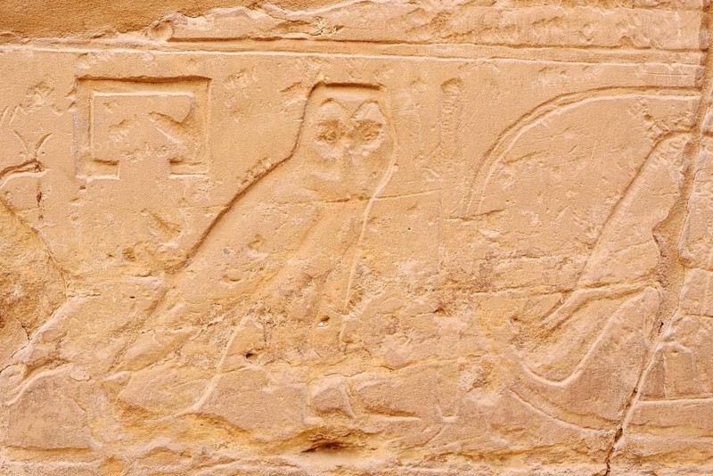 Relief of an owl, Karnak Temple, Luxor, Egypt