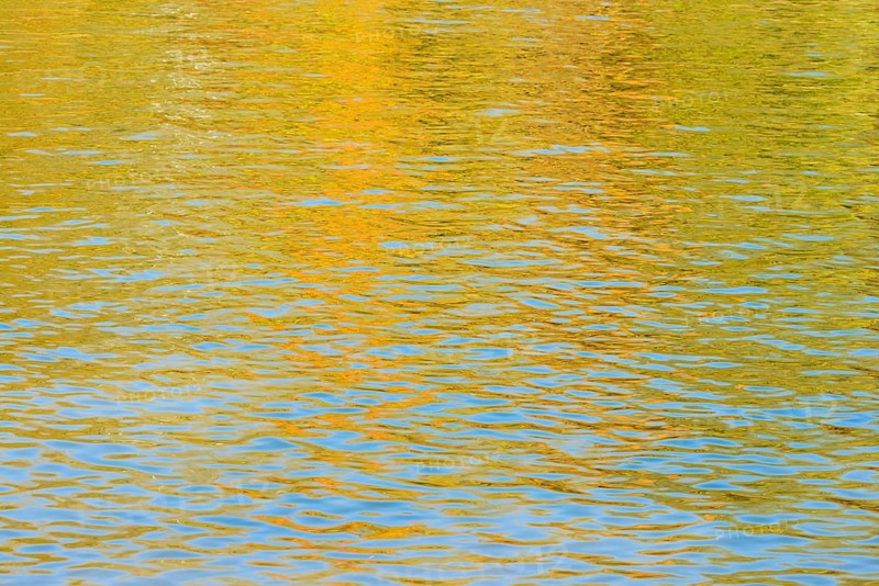 Deciduous trees are reflected on a water surface in autumn, North Rhine-Westphalia, Germany
