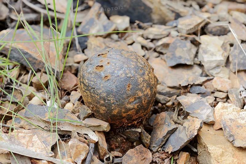 Pisolithus arhizus or Bohemian truffle (Pisolithus arhizus, Pisolithus tinctorius), Algarve, Portugal