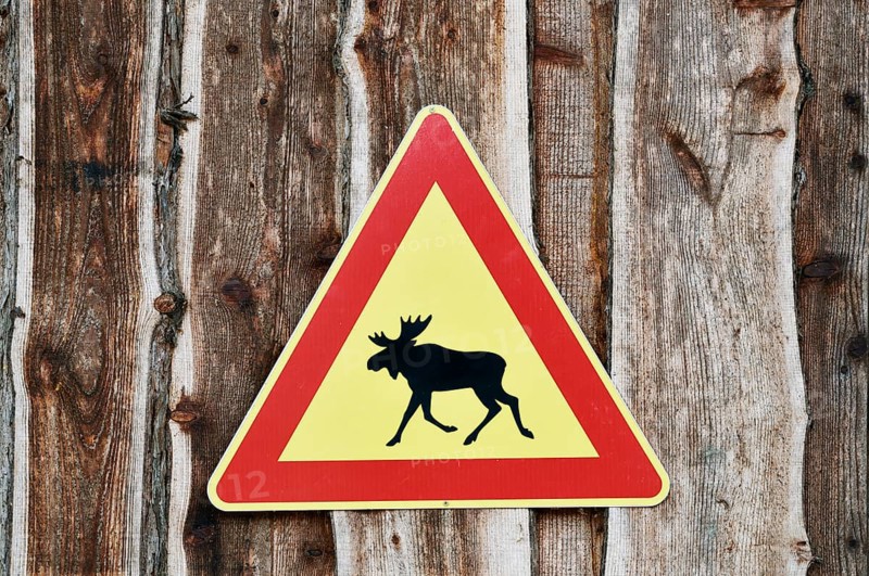 Elk warning sign, Sweden, Scandinavia