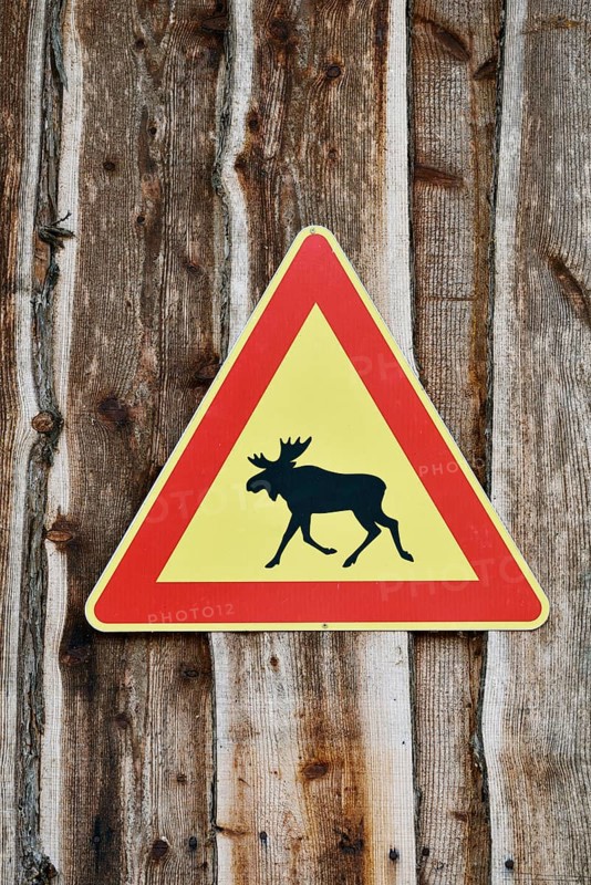Elk warning sign, Sweden, Scandinavia
