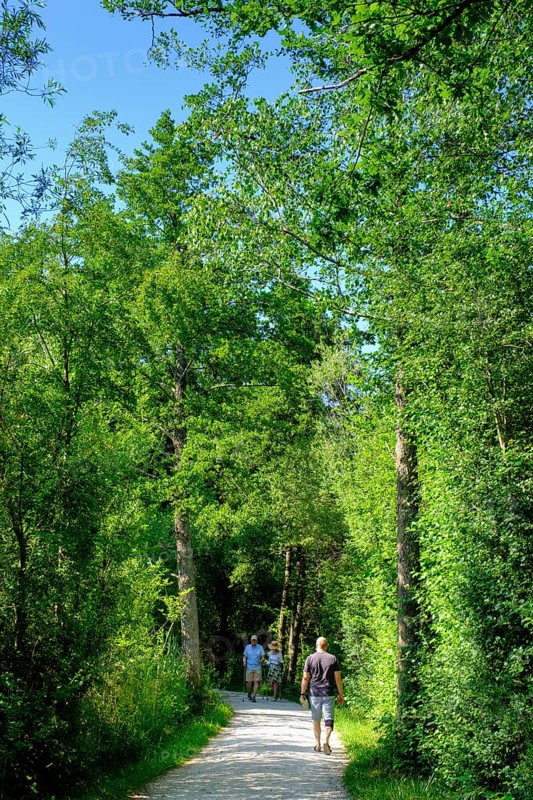Uferweg am Chiemsee bei Stock, Prien, Chiemgau, Upper Bavaria, Bavaria, Upper Bavaria, Bavaria, Germany