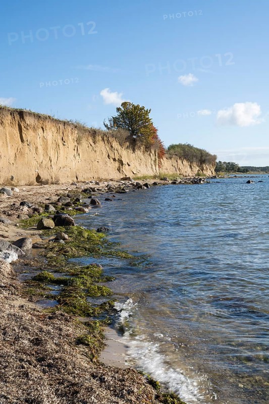 Cliffs on the shores of the Baltic Sea, autumn colors, Klein Zicker, Mönchgut, Rügen island, Baltic Sea, Mecklenburg-Western Pomerania, Germany