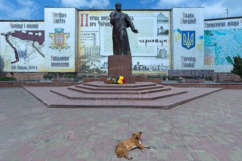 Memorial to Ukrainian national poet Taras Shevchenko, a dog lying down in front, Czernowicz, Ukraine