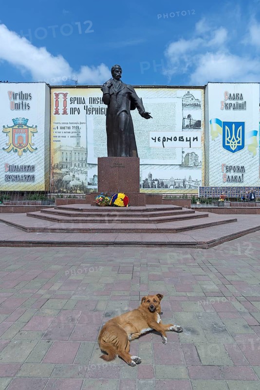 Memorial to Ukrainian national poet Taras Shevchenko, a dog lying down in front, Czernowicz, Ukraine