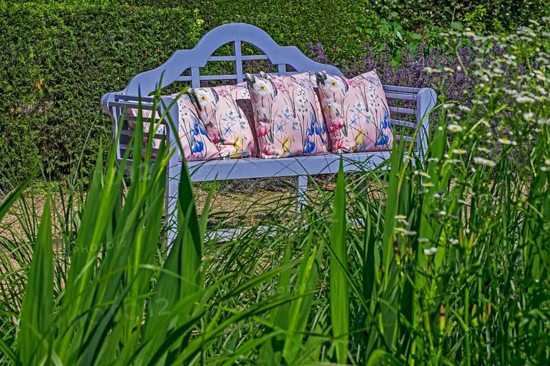 Blue garden bench with decorative cushions surrounded by plants and shrubs, Netherlands