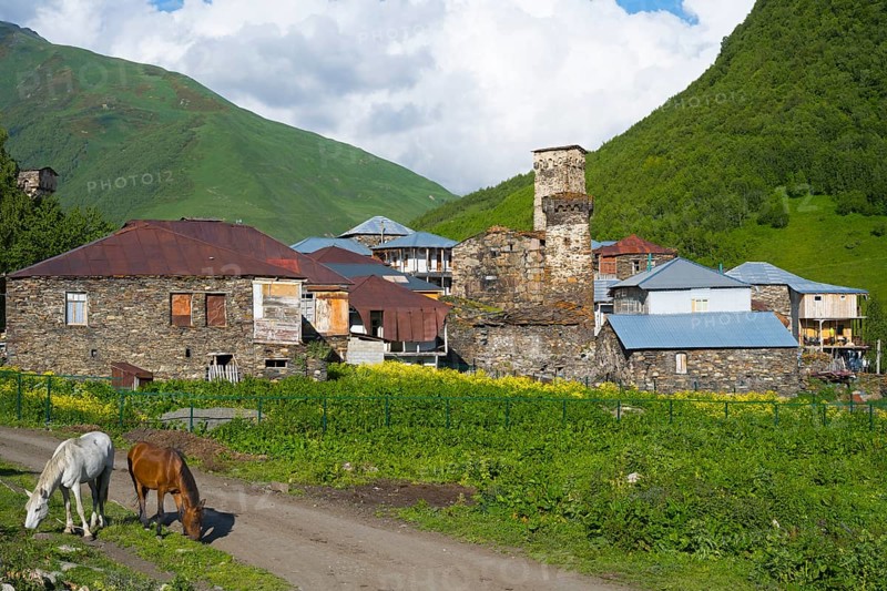 Two horses stand in front of traditional stone buildings in a mountain village, defensive towers, Ushguli, Ushguli, Murqmeli district, Upper Svaneti, Svaneti, Georgia
