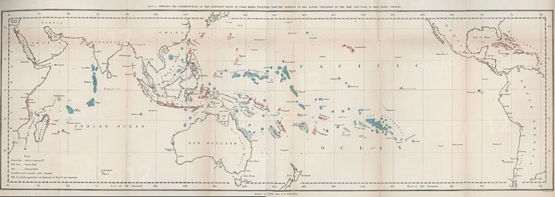 First map of the worldwide distribution of coral reefs by Charles Darwin, world map, historical, geology, biology, 1842, history of science He wrote the book “The Structure and Distribution of Coral Reefs” and was the first to explain how coral reefs are formed