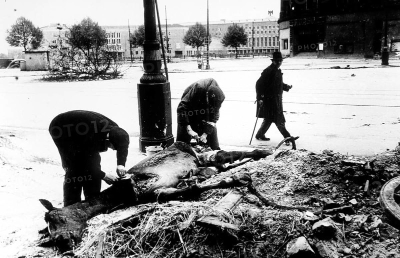 In front of Tempelhof Airport, Berlin in May 1945. Civilians use the dead horse to get food. Many people starved at the end of the war