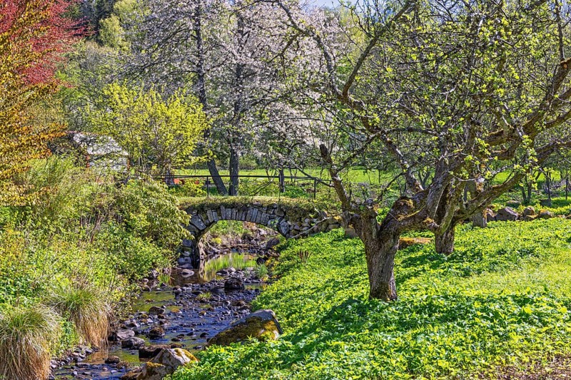 Beautiful view at a lush green meadow landscape with budding fruit trees an a old stone arch bridge a sunny spring day, Sweden