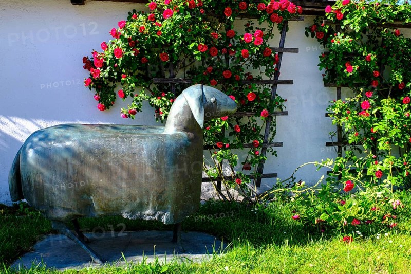 Sheep from Heinrich Kirchner, in front of St. Johann Baptist Church, Truchtlaching, Chiemgau, Upper Bavaria, Bavaria, Germany
