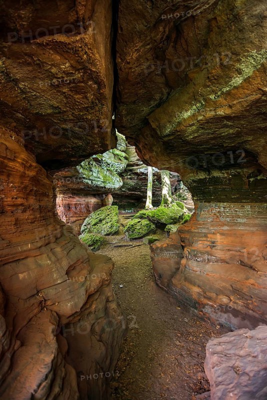 Sandstone Cliffs, Old Castle Rock, near Eppenbrunn, Palatinate Forest, Rhineland-Palatinate, Germany