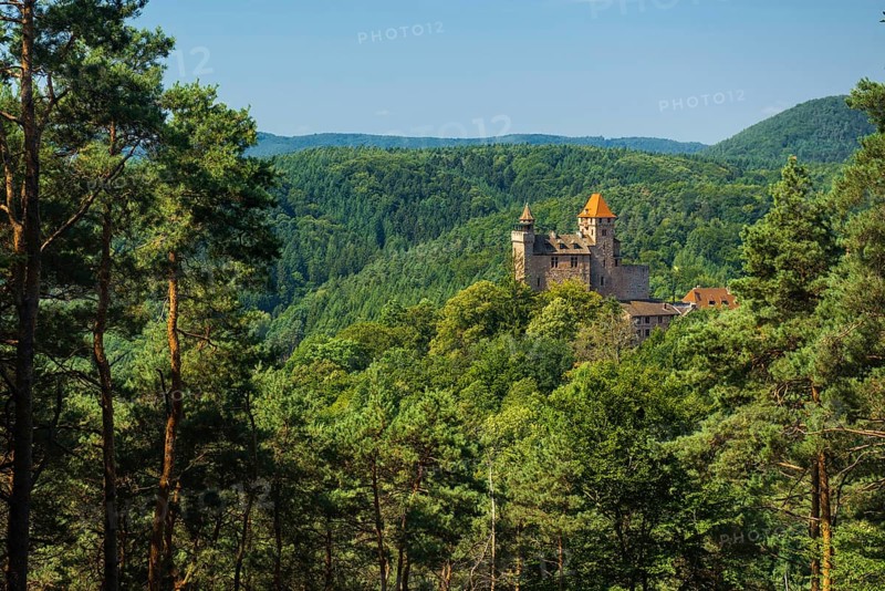 Burg Berwartstein, Erlenbach, Palatinate Forest, Rhineland-Palatinate, Germany