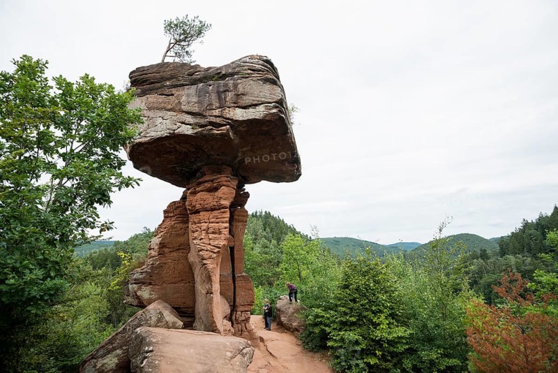 Sandstone rocks, Teufelstisch, near Hinterweidenthal, Dahner Felsenland, Palatinate Forest, Rhineland-Palatinate, Germany