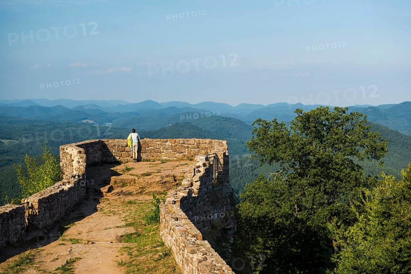 Wegelnburg ruins, near Nothweiler, Palatinate Forest, Rhineland-Palatinate, Germany