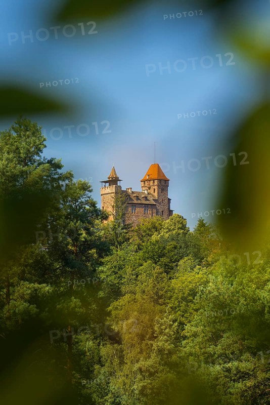 Burg Berwartstein, Erlenbach, Palatinate Forest, Rhineland-Palatinate, Germany