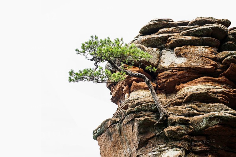Sandstone rocks, near Hinterweidenthal, Dahner Felsenland, Palatinate Forest, Rhineland-Palatinate, Germany