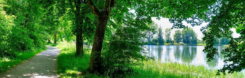 Wanderweg am Erlensee, Erlensee, near Schechen, Upper Bavaria, Bavaria, Germany