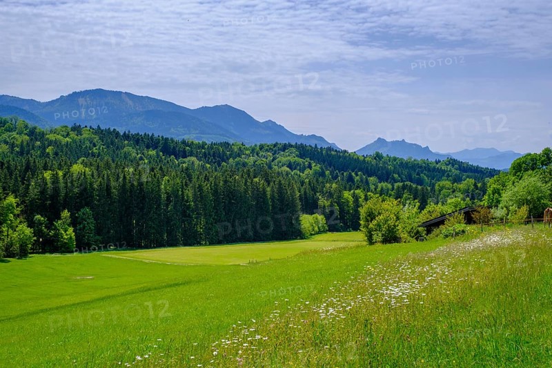 View of the Chiemgau Mountains, from Brandenberg near Wildenwart, Frasdorf, Chiemgau, Upper Bavaria, Bavaria, Germany