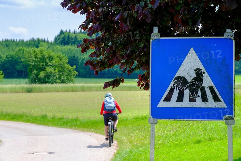 Funny sign, crossing chickens, Huggenlaubach, Rottal, Upper Swabia, Baden-Württemberg, Germany