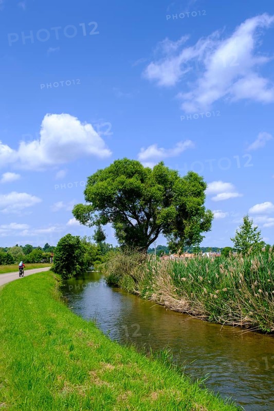 Cyclist, bicycle tour near Gutenzell an der Rot, Rottal, Upper Swabia, Baden-Württemberg, Germany