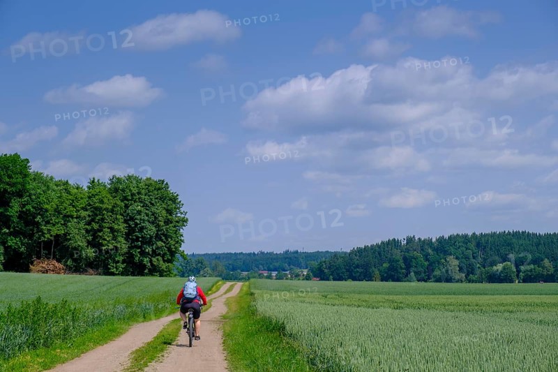 Cyclist, bicycle tour, near Berkheim, Rottal, Upper Swabia, Baden-Württemberg, Germany