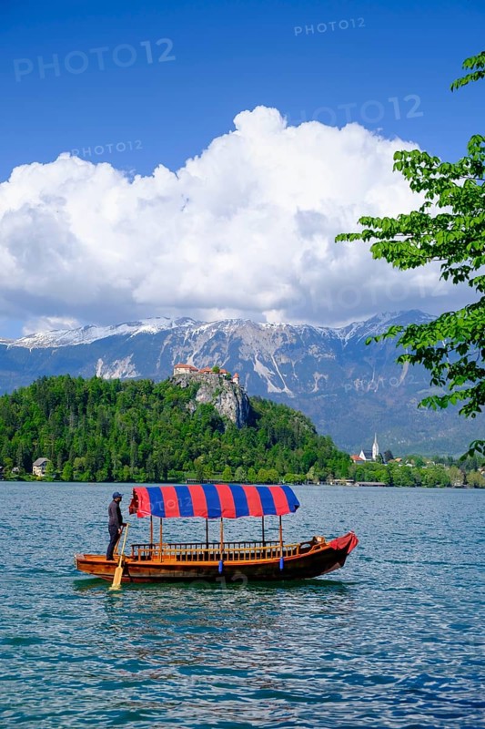 Bled Castle, above Bled, Lake Bled, Slovenia