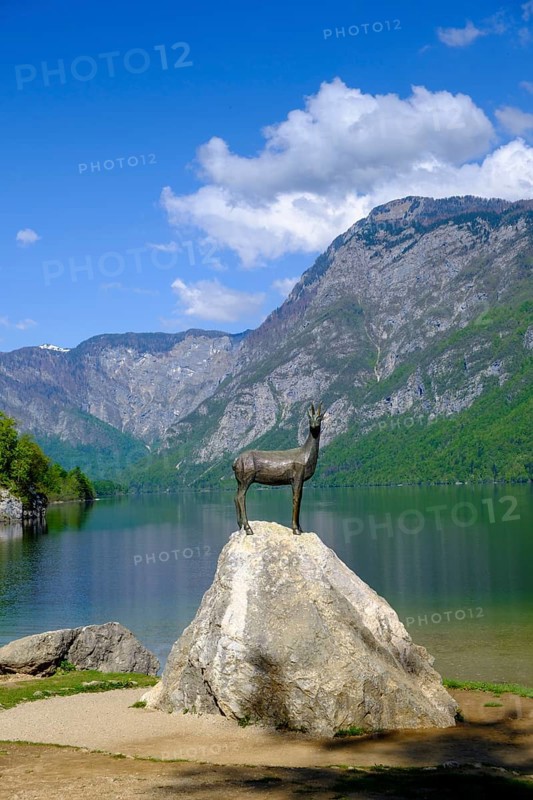 Chamois, Zlatorog, sculpture, Bohinjsko jezero, Lake Wochein, Bohinj, Upper Carniola, Slovenia