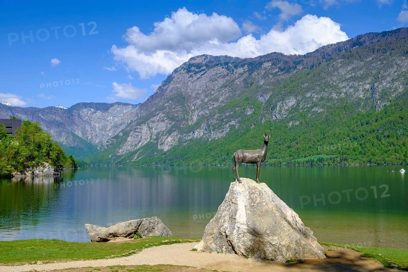Chamois, Zlatorog, sculpture, Bohinjsko jezero, Lake Wochein, Bohinj, Upper Carniola, Slovenia