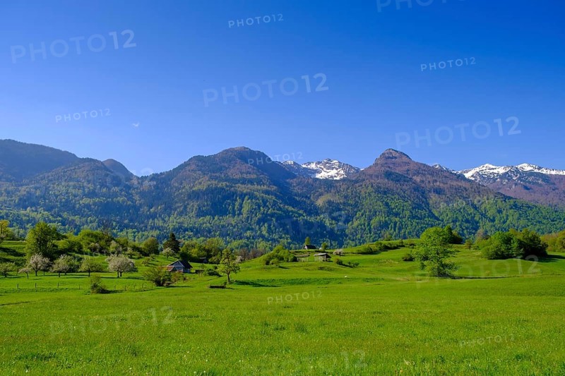 Pastures near Bohinjska Bistrica, Bohinj, Upper Carniola, Slovenia