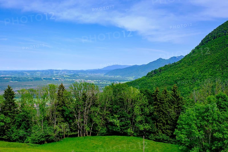 Am Adersberg, bei Grassau, Chiemgau, Upper Bavaria, Bavaria, Germany