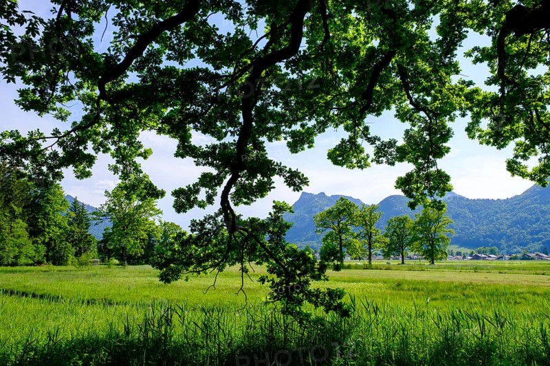 Am Naturerlebnispfad, Aschau, Chiemgau, Upper Bavaria, Bavaria, Germany