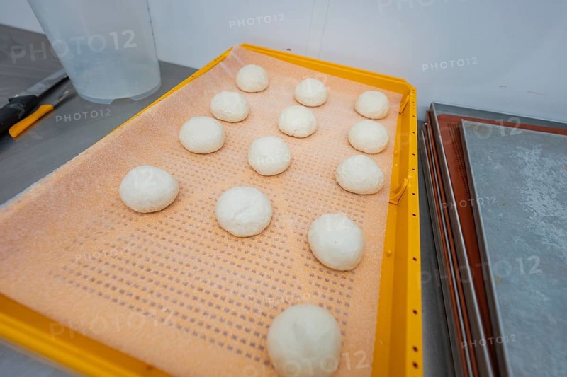 Dozen dough balls on orange tray in bakery environment, baking rolls, Haselstaller Hof, Gechingen, Germany