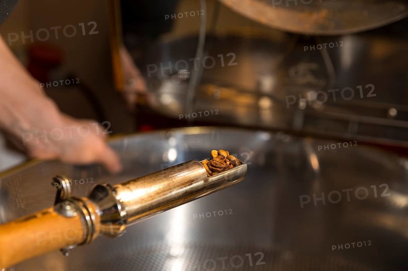 Coffee is roasted by hand in a small drum roasting machine with a lot of experience, Mrs. Müller checking the degree of roasting, Kaffeerösterei Müller, Wildenhain, Großenhain, Saxony, Germany