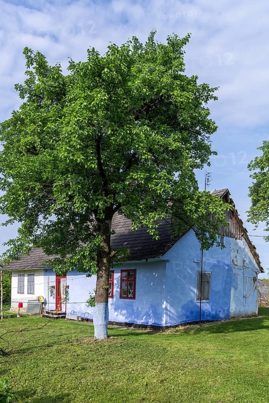 Old German settler house with garden in the former Dornfeld from 1789-1939, today Ternopillya, Ukraine