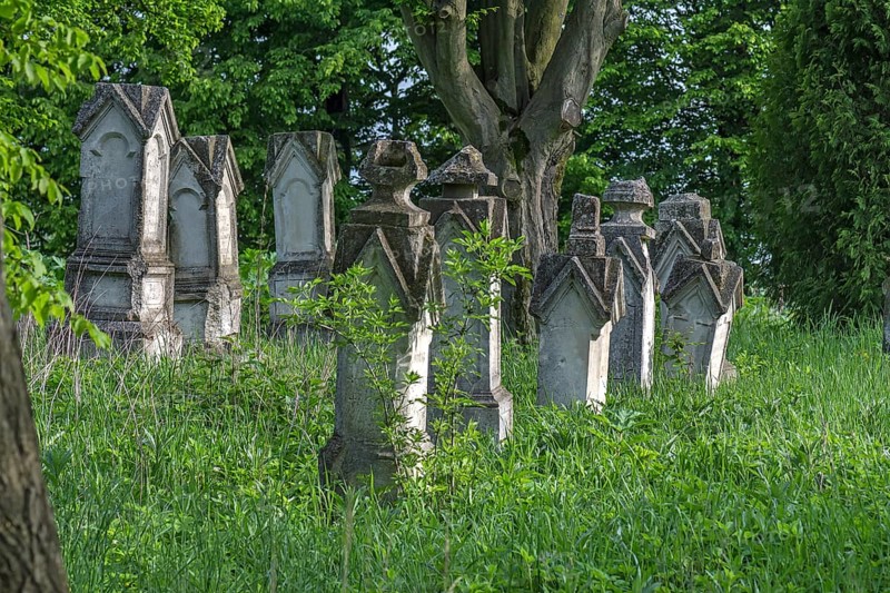 German cemetery of the former German community of Dornfeld, 1738-1918, today Ternopillya, Ukraine