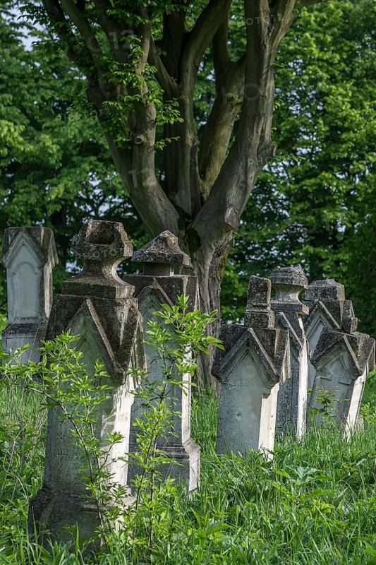 German cemetery of the former German community of Dornfeld, 1738-1918, today Ternopillya, Ukraine