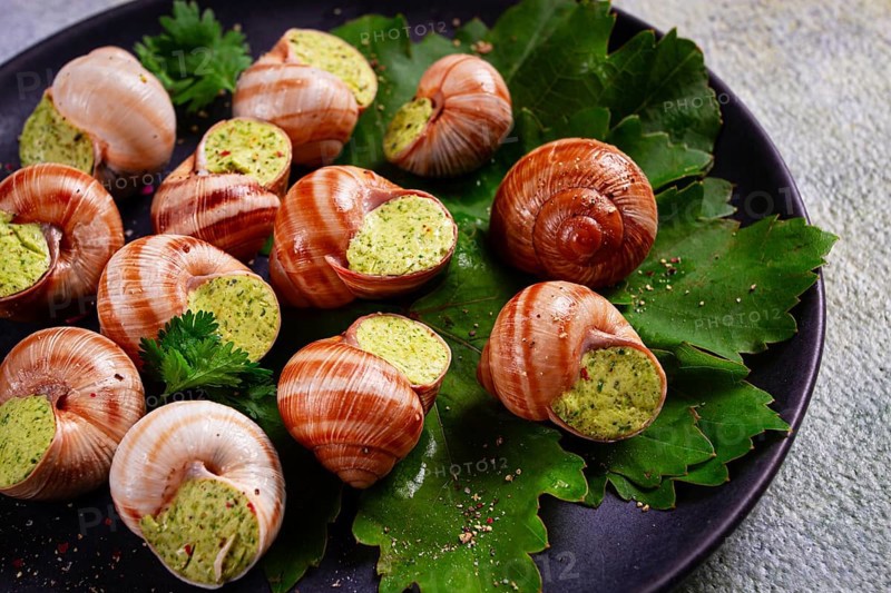 Grape snails, stuffed in burgundy, french cuisine