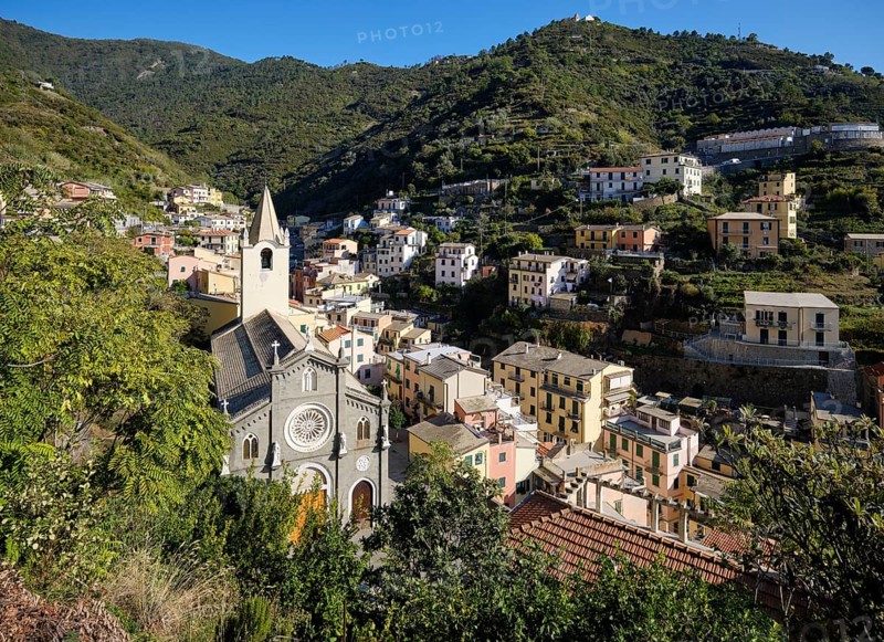 View of picturesque village of Riomaggiore with church and colorful houses in a green, hilly landscape, Cinque Terre, La Spezia province, Liguria, Italy