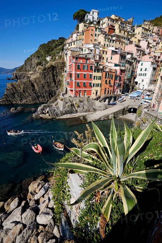 Colourful houses under blue sky, view of the fishing village of Riomaggiore, boats in the harbour, Cinque Terre, La Spezia province, Liguria, Italy