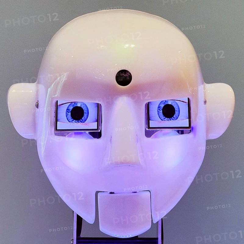 Humanoid robot head, artificial intelligence, Germany