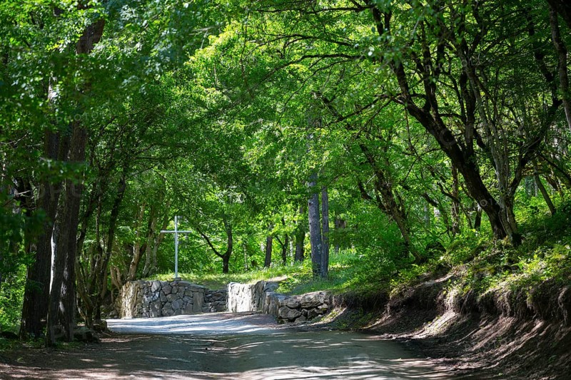 Natural forest trail surrounded by lush vegetation and shade, Monastery Forest, Chitakhevi Church of St. George, The Green Monastery, Mtsvane Monastery, Samtskhe-Javakheti Region, Samtskhe-Javakheti, Georgia