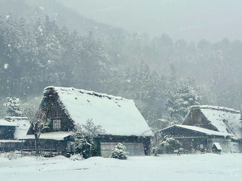 Snowy huts in a quiet winter landscape with forest in the background, blowing snow, winter, Shirakawa, Gifu, Japan