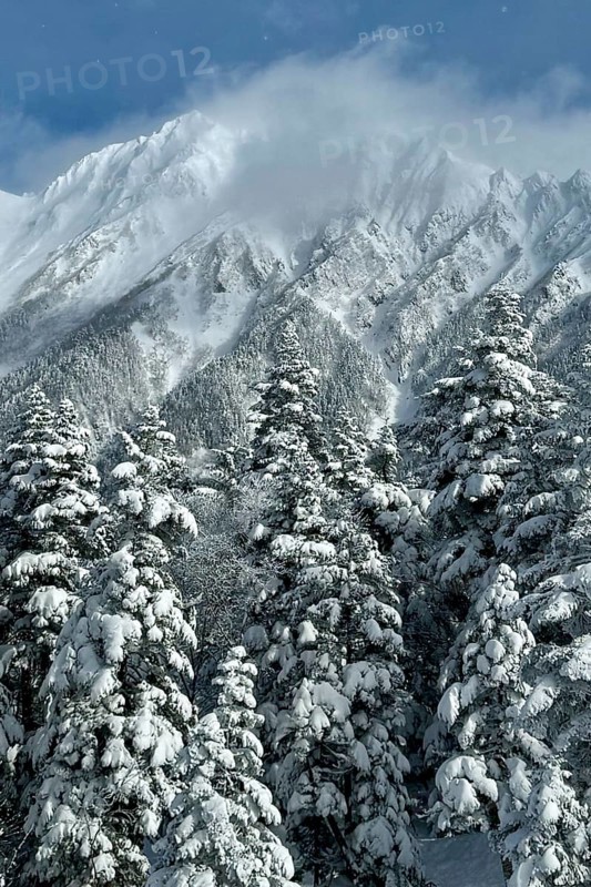 Snowy fir trees in front of mighty mountains covered with clouds creating a cold winter landscape, winter, snow, Chubu Sangaku National Park, Takayama, Gifu, Japan